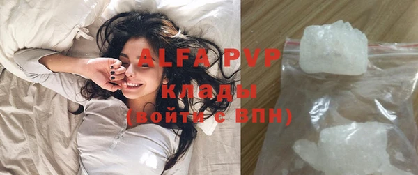 ешки Белокуриха