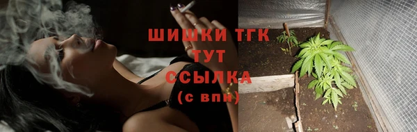 ешки Белокуриха