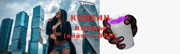 шишки Богородск