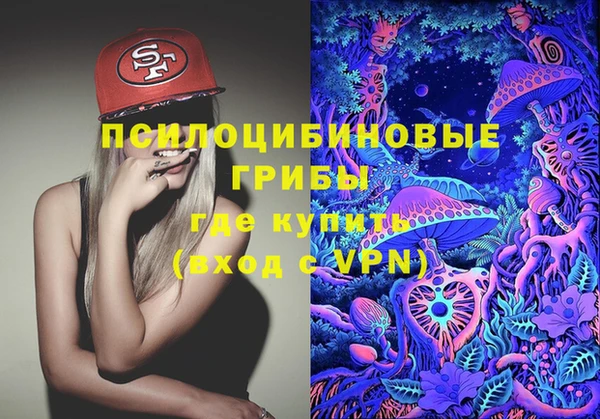 шишки Сосновоборск