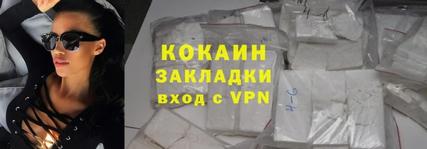 шишки Богородск