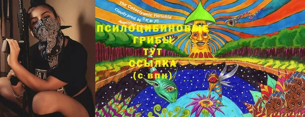 ПСИЛОЦИБИНОВЫЕ ГРИБЫ Белоозёрский